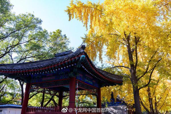 牛牛平台注册-二胎家庭只有一间儿童房，如何布置才能满足两个孩子的居住需求？