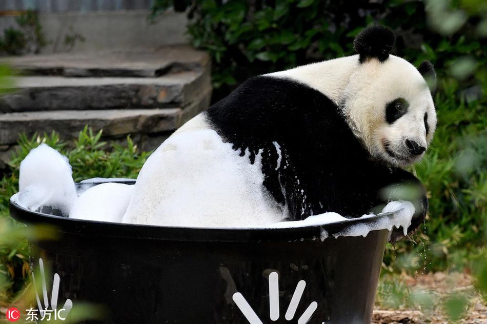 澳门十大靠谱网站-我们家 没这个条件