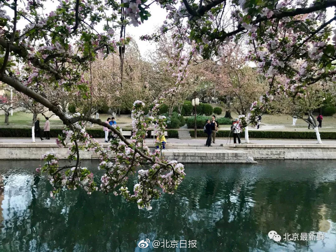 欧博app平台-后开始青睐三无婚礼