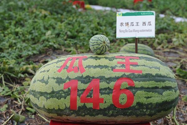 米乐登录平台-米乐登录平台