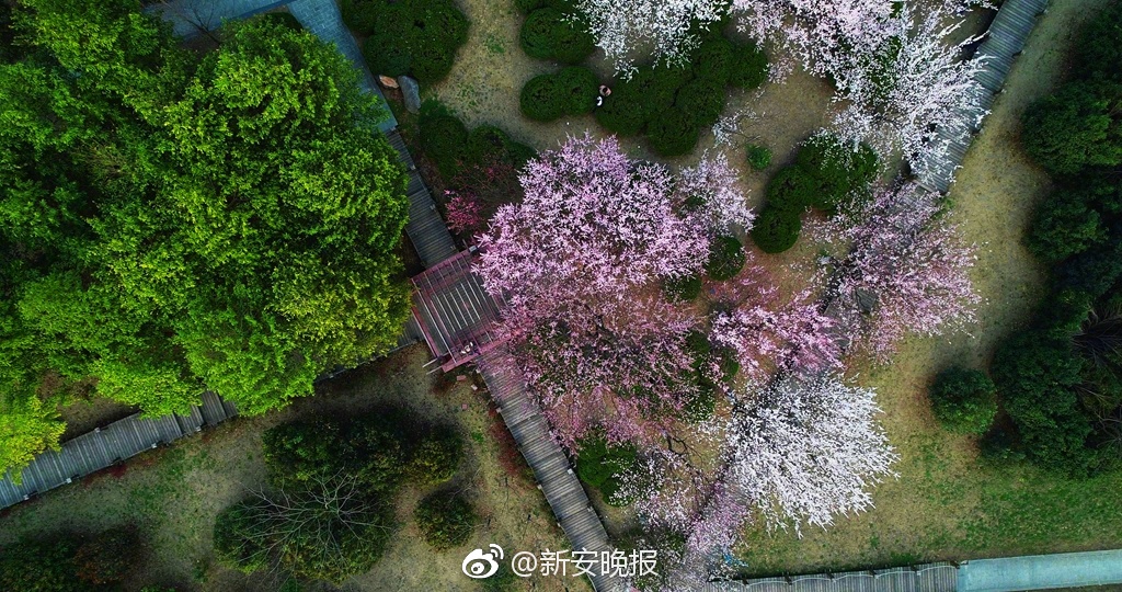 赌钱游戏-周雨彤一次醉酒换来一生内向