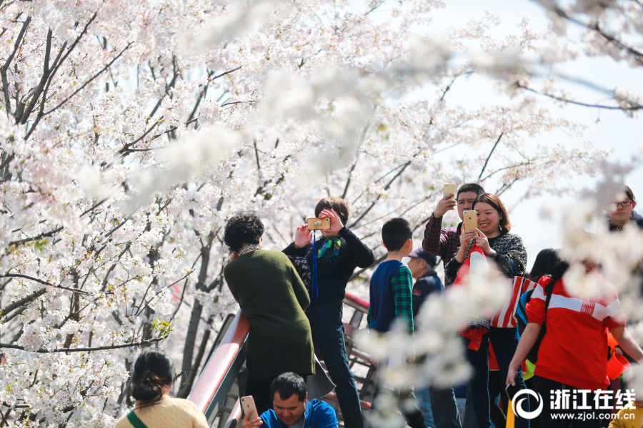 开云体云app官网入口-如何看待 2024 年 4 月 8 日 A 股市场行情走势
？