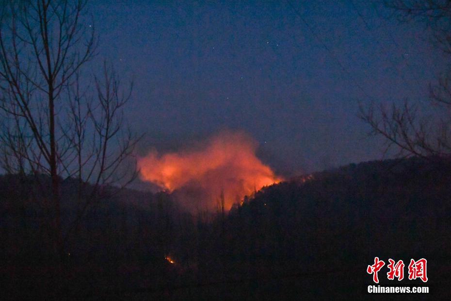 网上百老汇网址-奔流｜陈家泠：祝中法友谊如瓷般坚硬
、陶般真诚