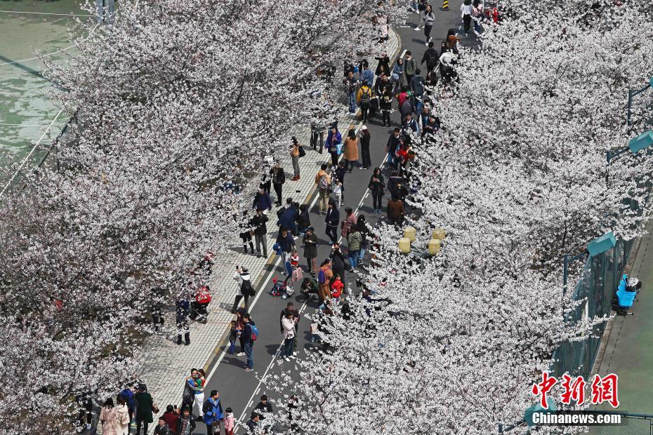 b体育官方在线登录-固态电池轻松实现续航 1000 公里，多家厂商走到台前	，固态电池是什么	？大规模商业化有哪些问题需解决	？