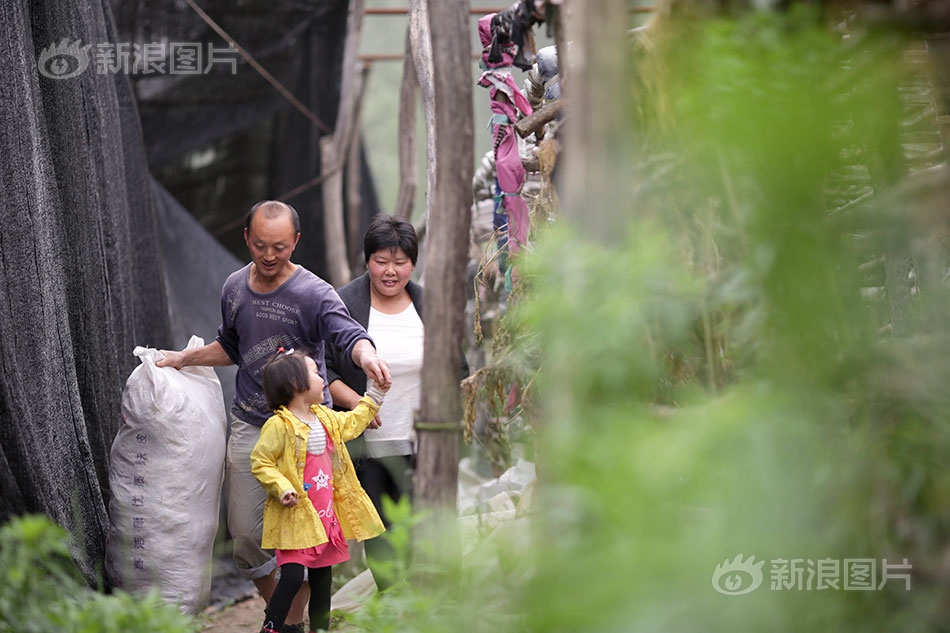 开云手机在线官网相关推荐4