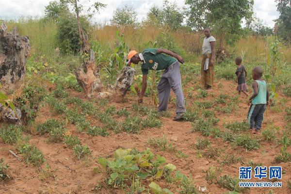 半岛在线登录下载-半岛在线登录下载