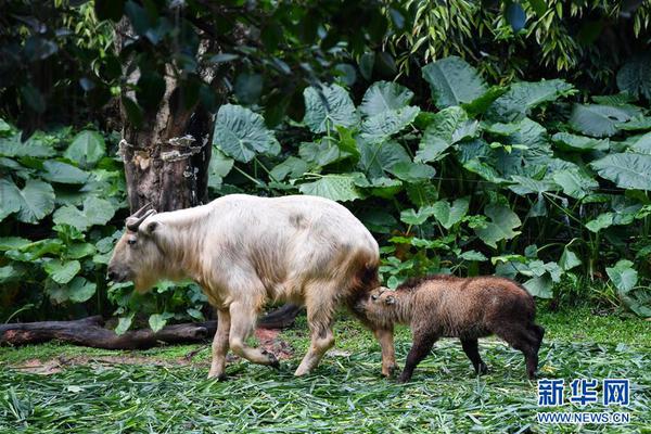 半岛在线登录下载-半岛在线登录下载