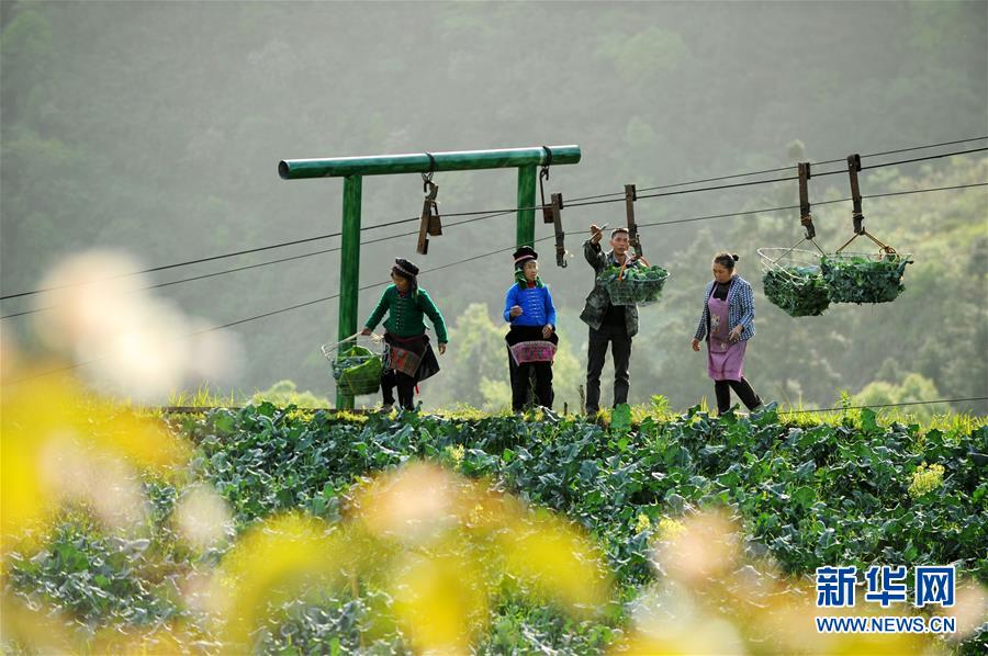 星空体育综合app下载相关推荐10