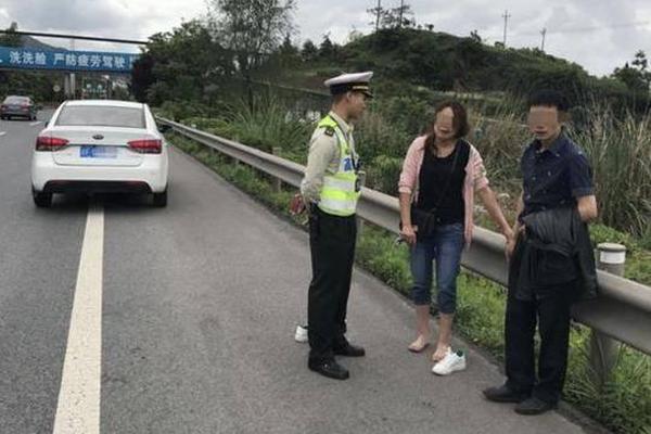 kok电竞首页-初夏时节 高山杜鹃绽放秦岭之巅