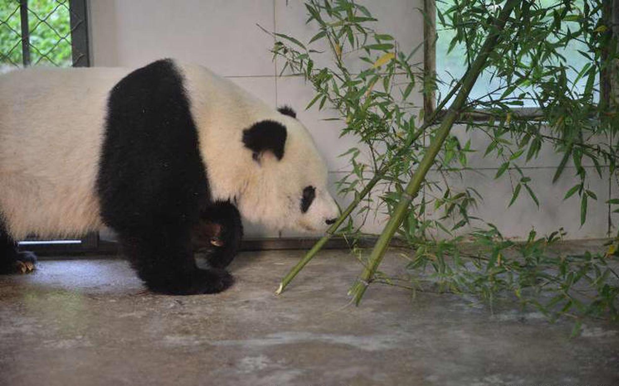 天博tb登录界面-浙大女生23年前写的励志标语火了