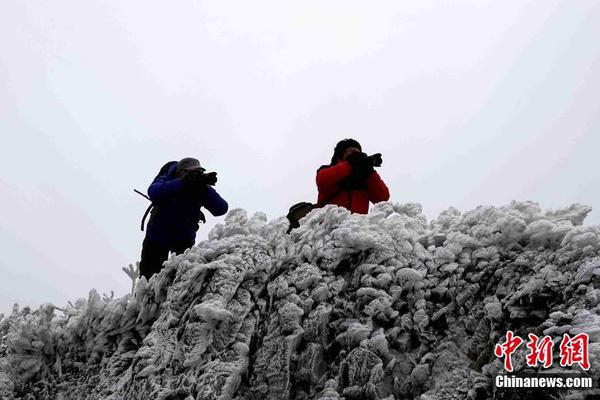 kok电竞首页-“提灯定损”之地探访	：村里住着很多陪读妈妈，当地民宿遭大量退订