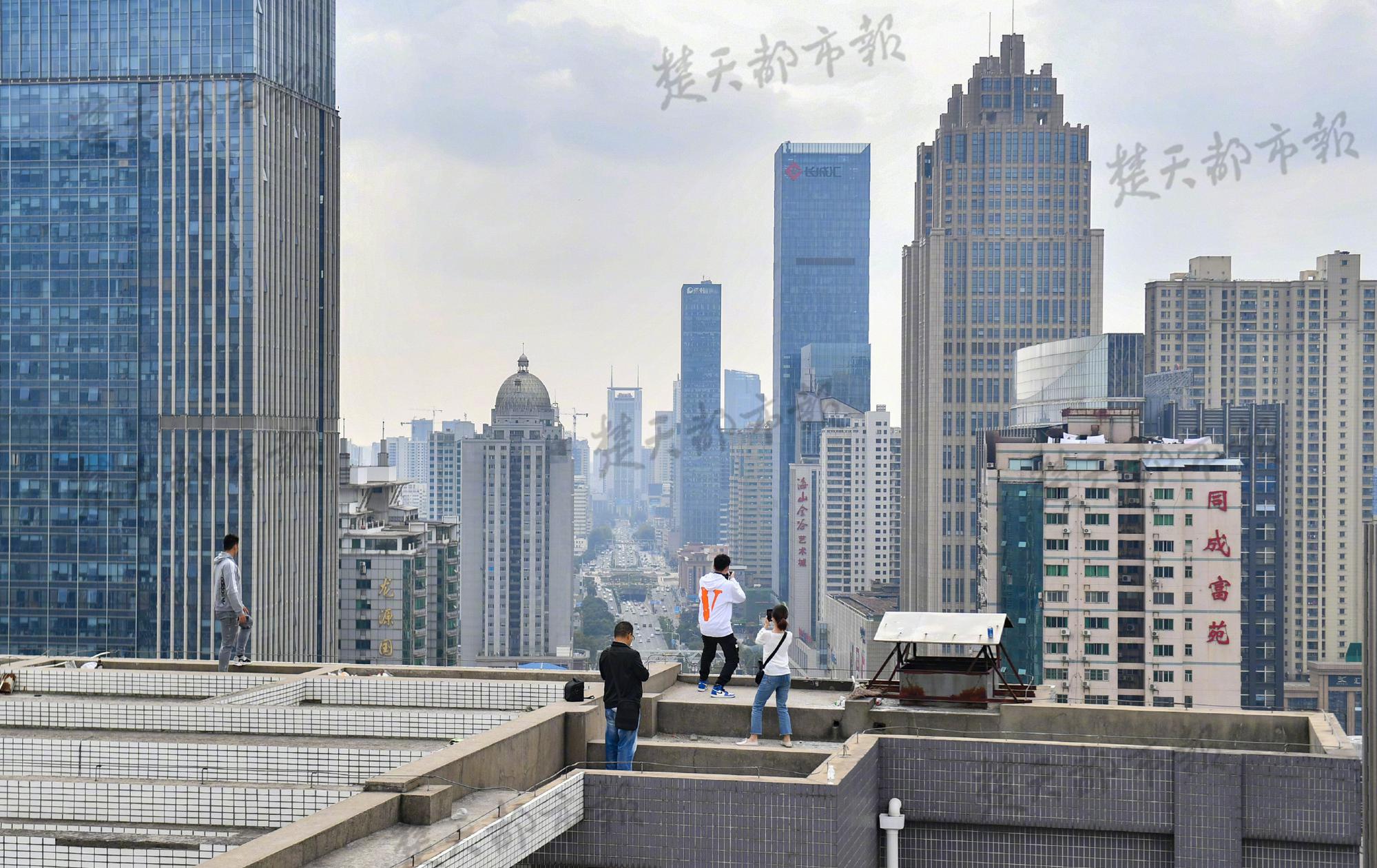 od平台在线登录