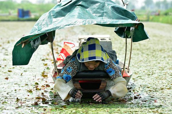 乐竞官网登录入口-感动中国 2023 年度人物公布
	，俞鸿儒、刘玲琍、张雨霏等在列，他们有哪些瞬间让你印象深刻？