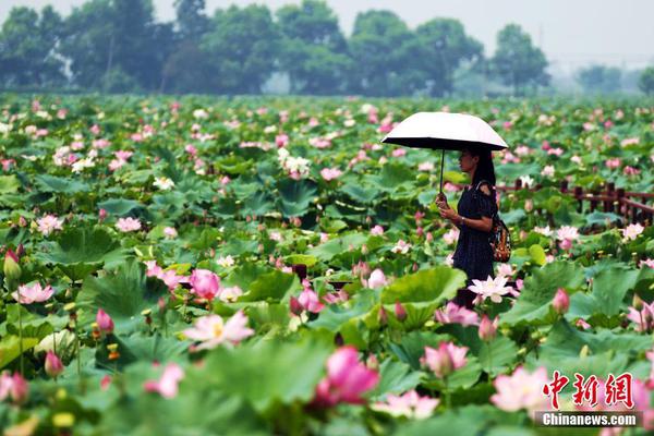 半岛在线登录入口相关推荐8