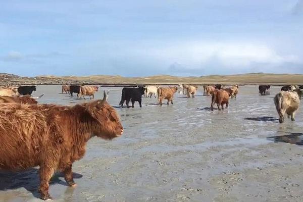 半岛在线登录下载-半岛在线登录下载