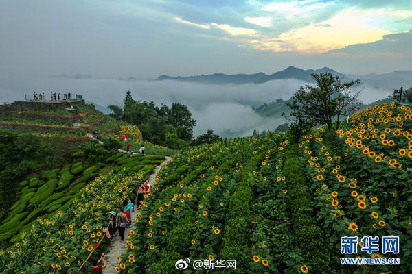 半岛在线登录入口相关推荐7