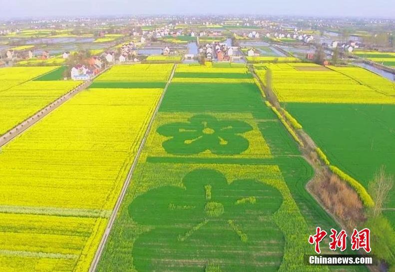 华体育会在线登陆-华体育会在线登陆