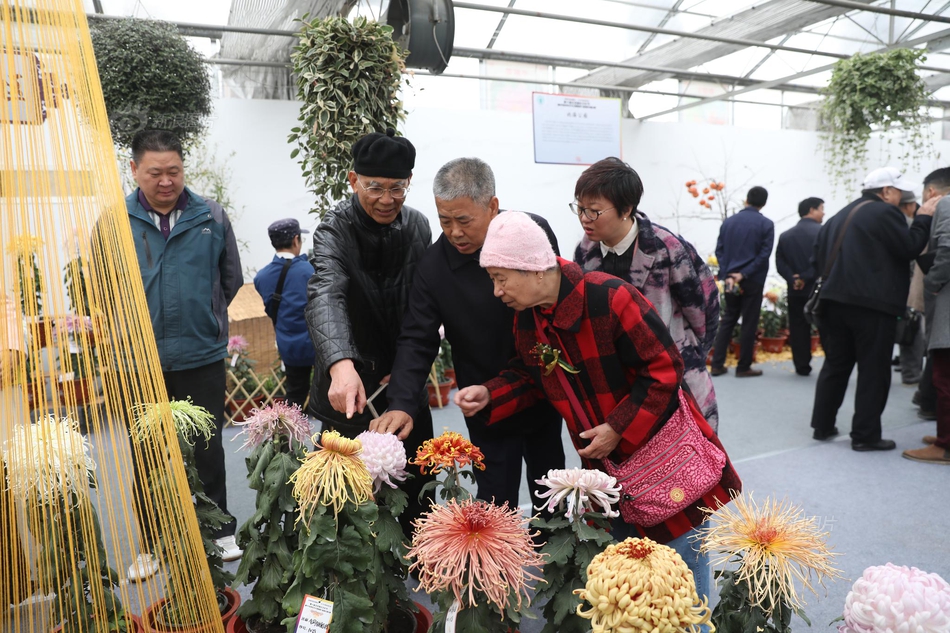 江南登录入口app下载-佐助跟着大蛇丸的那三年，到底有哪些是在木叶学不到的？