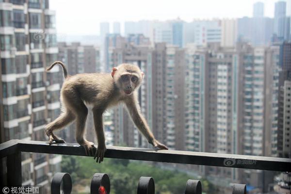 开云体验app官方入口-虐猫考生疑未通过兰大研究生面试