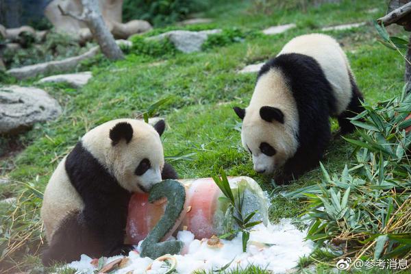 开云苹果下载app相关推荐2”