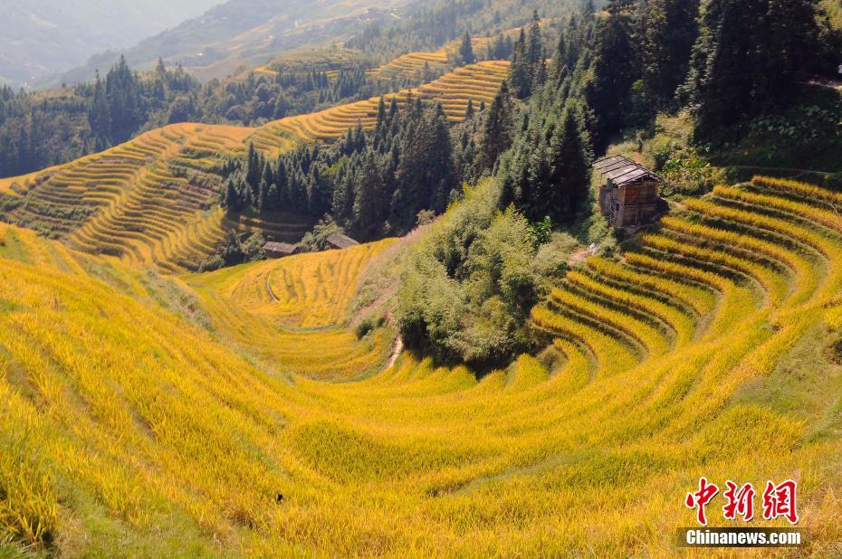 乐鱼在线登录平台-乐鱼在线登录平台