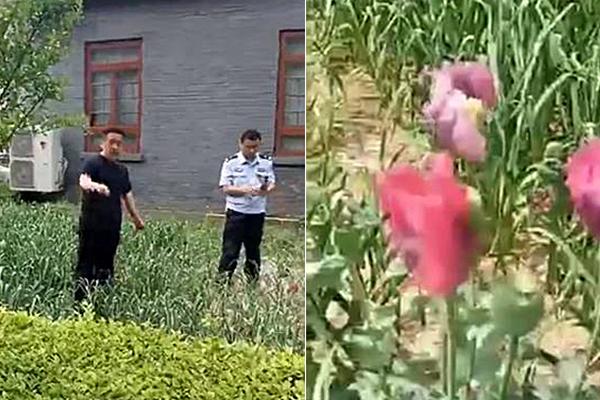 开云苹果下载app相关推荐5”