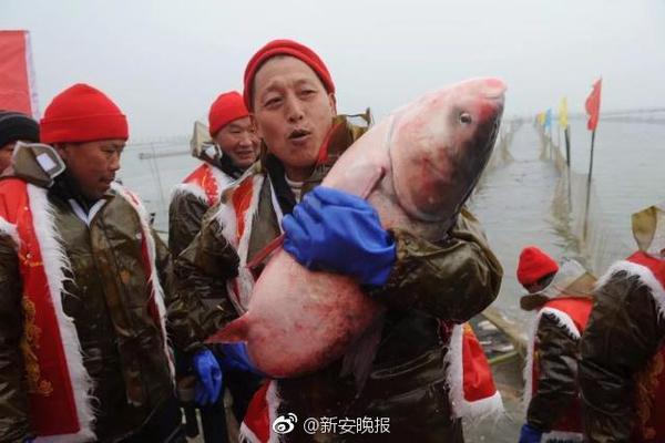 开云网页版-奔流｜陈家泠：祝中法友谊如瓷般坚硬、陶般真诚