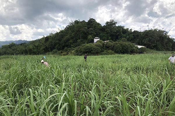 开云游戏app平台-广东全力做好全省交通运输领域防汛抢险和安全生产工作