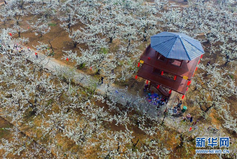 问鼎平台注册登录地址-2天1晚穿越到一个还在用铜钱的古风小镇是什么体验？我在安徽铜陵发现了现实版桃花源…