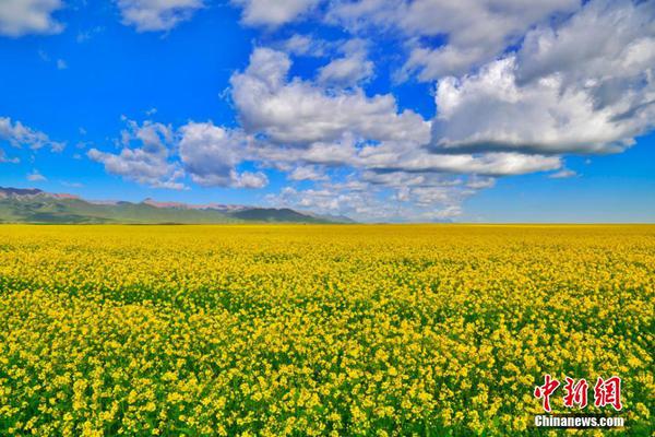 半岛网页版登录入口