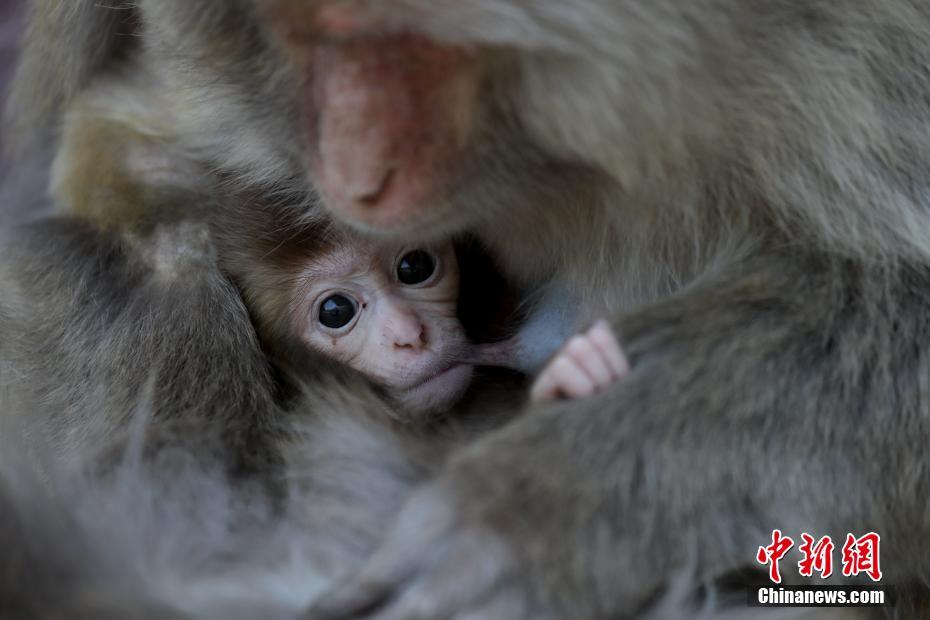 hth华体官方下载app-虐猫考生已参加兰大研究生调剂复试，婉拒采访，称「现在不太好回应
�，对于网络舆论不是很懂」，如何看待�？