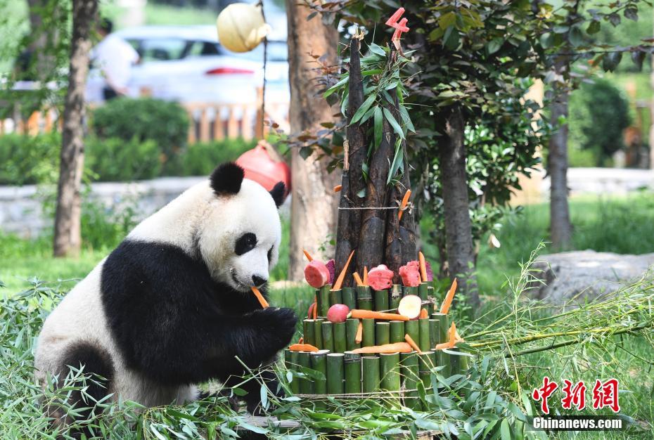 必威登录平台相关推荐5”