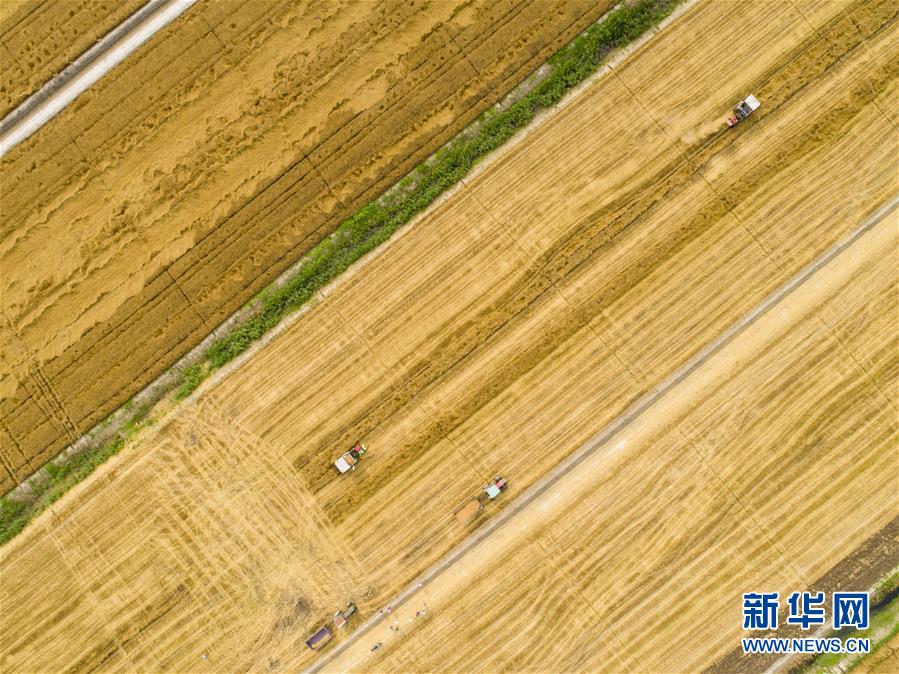 博鱼官方登录-“节奏大师”