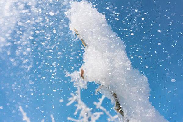 开云app苹果下载-张子枫胡先煦吻戏