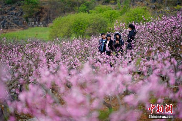 m6平台在线登录相关推荐8