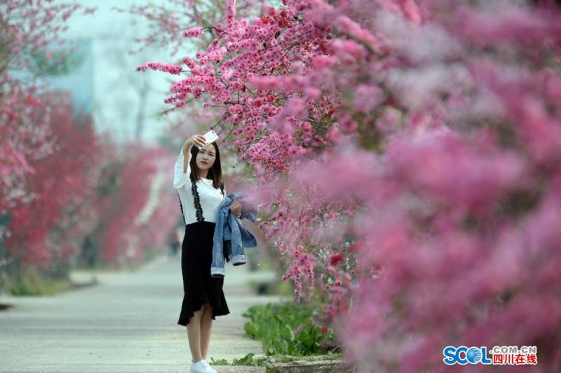 kok电竞首页-将随朔尔茨访华的企业高管名单：凸显中国对德国外贸的重要性