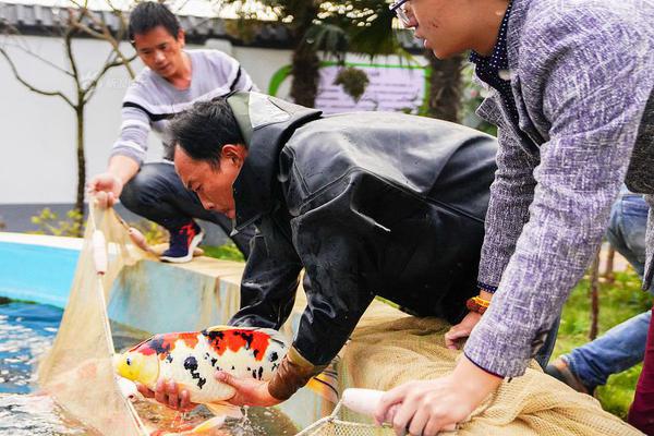 银河十大平台-辞职旅行半年后我的生活翻天覆地