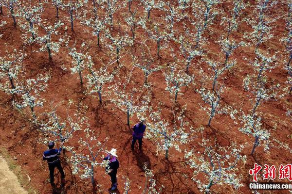 半岛在线登录下载-半岛在线登录下载