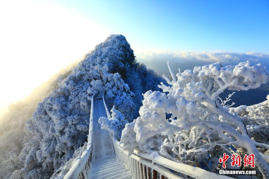 云开体育官网登录入口-好大专和差大专有什么区别