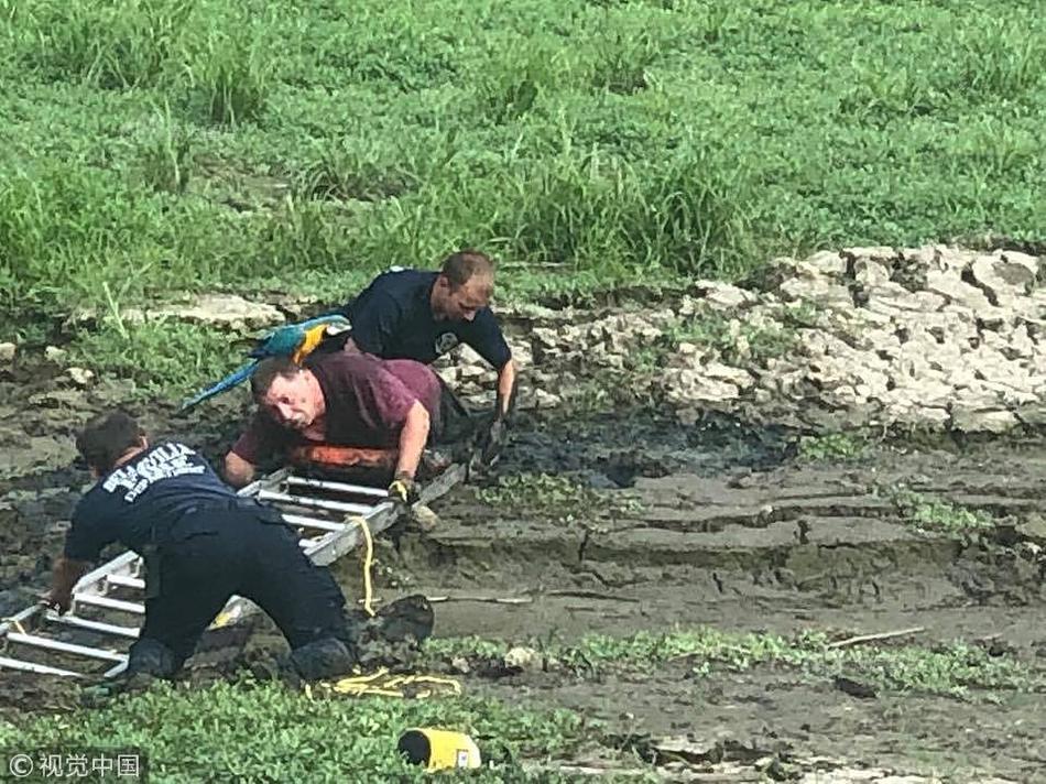 大阳城娱乐游戏-河南一高校招生科副科长被举报聚众淫乱，校方：纪委已介入核查