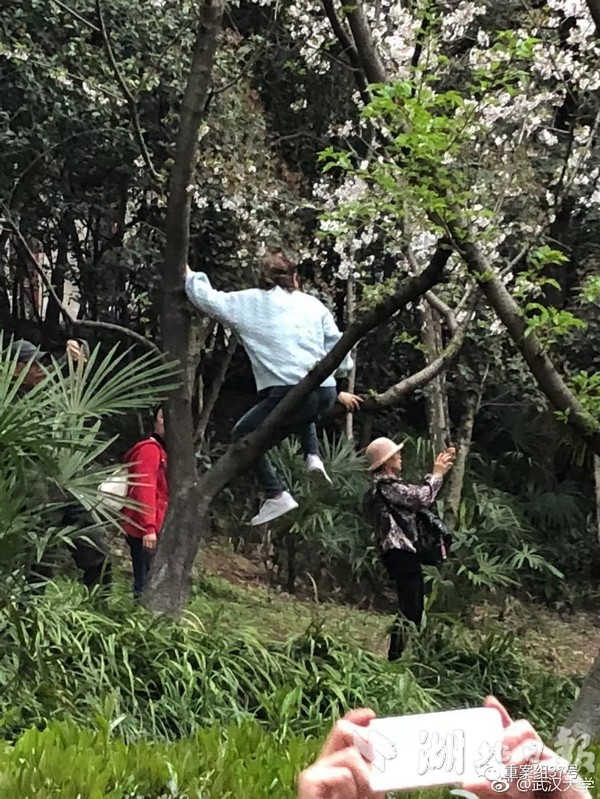 下注app平台-4月9日
，沙特超级杯半决赛，利雅得胜利1:2利雅得新月，C罗肘击染红�，如何评价这场比赛？