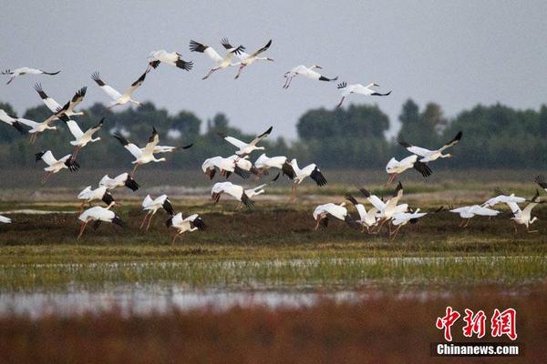 半岛在线登录官网-半岛在线登录官网