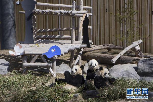 云开体育app网页版入口-云开体育app网页版入口
