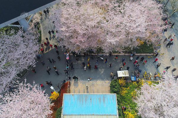 半岛电竞官网-台湾花莲近海5.3级地震