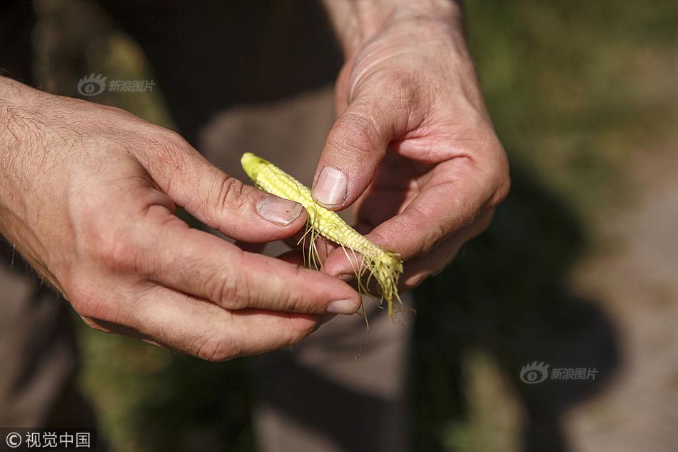 开云kaiyun网页版登录相关推荐9