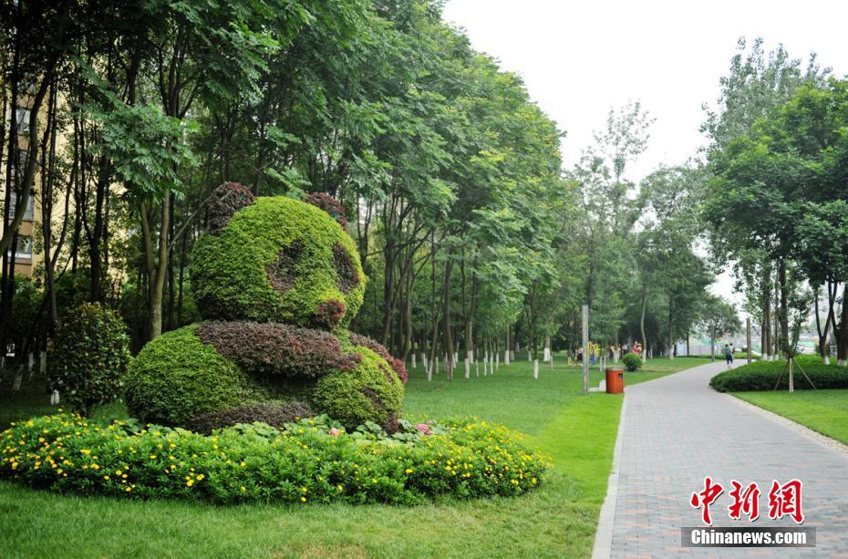 大阳城43335集团娱乐-有哪些我们觉得很常见，但是濒临灭绝的动物
？