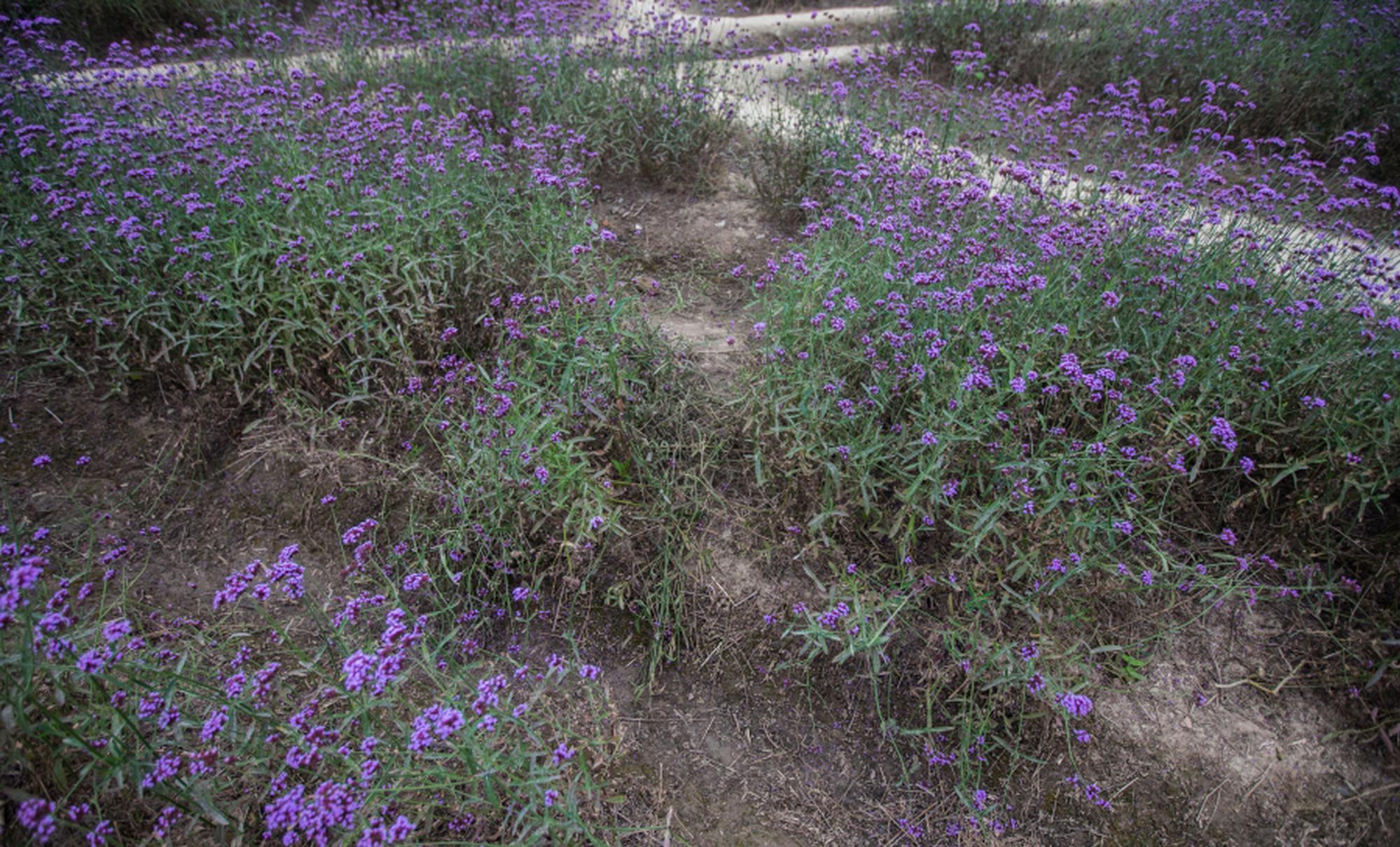 开云苹果版下载安装-开云苹果版下载安装