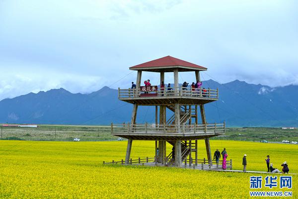 半岛在线登录官网