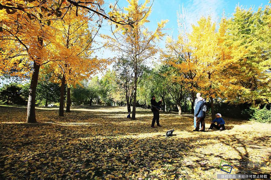 半岛在线登录官网