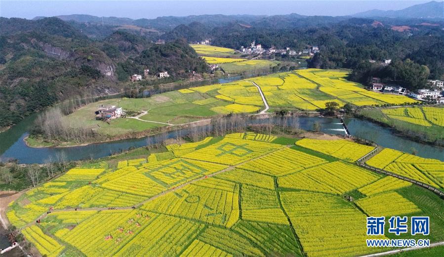 大阳城登录77139相关推荐1